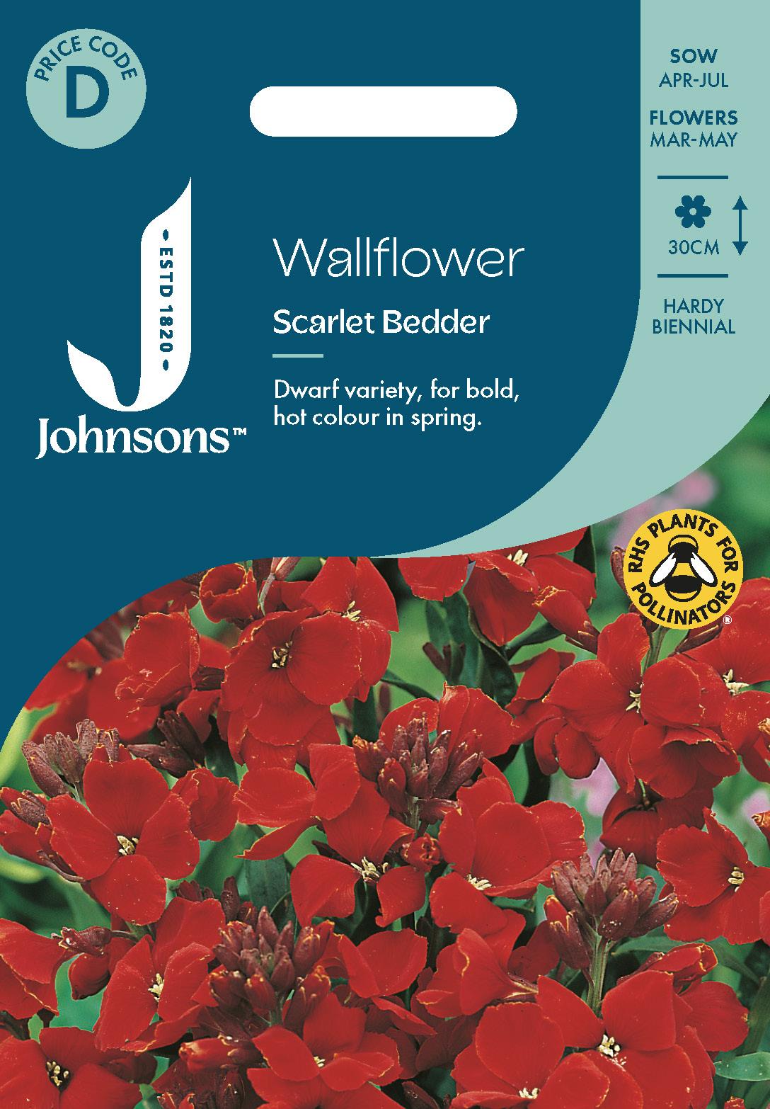Johnsons - Wallflower Scarlet Bedder - 500 Seeds