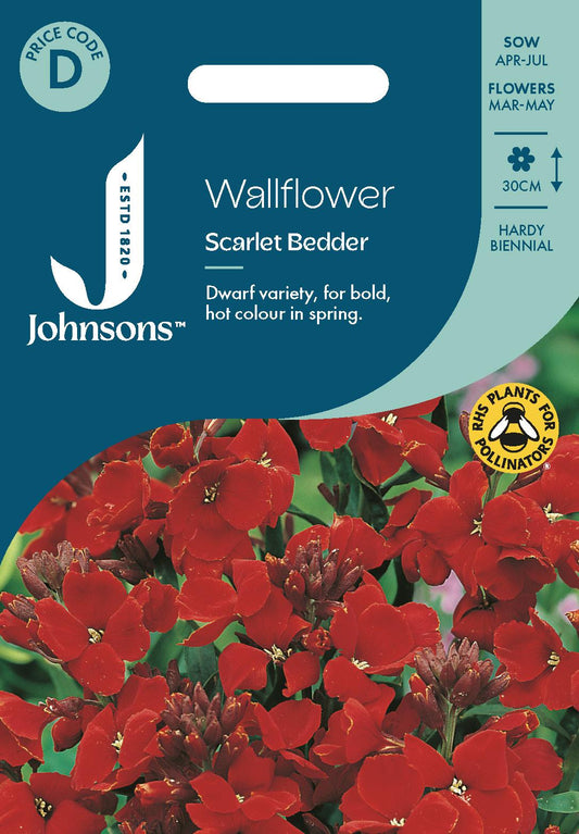 Johnsons - Wallflower Scarlet Bedder - 500 Seeds