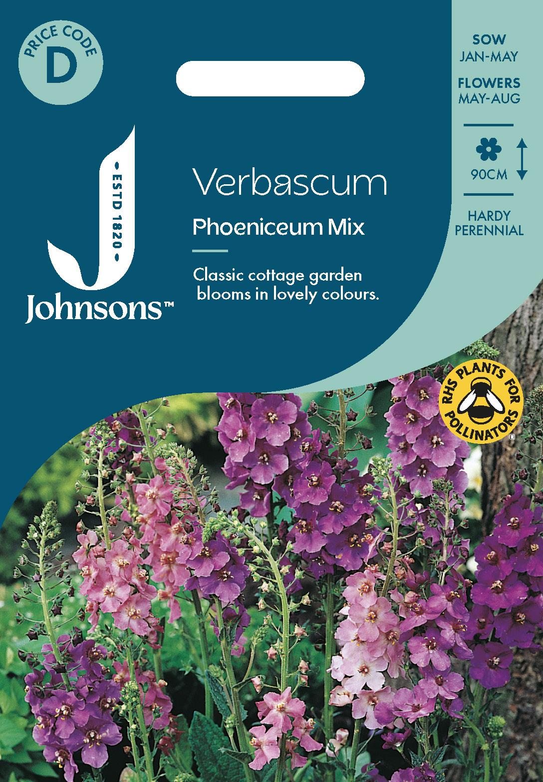 Johnsons - Verbascum Phoeniceum Mix - 500 Seeds