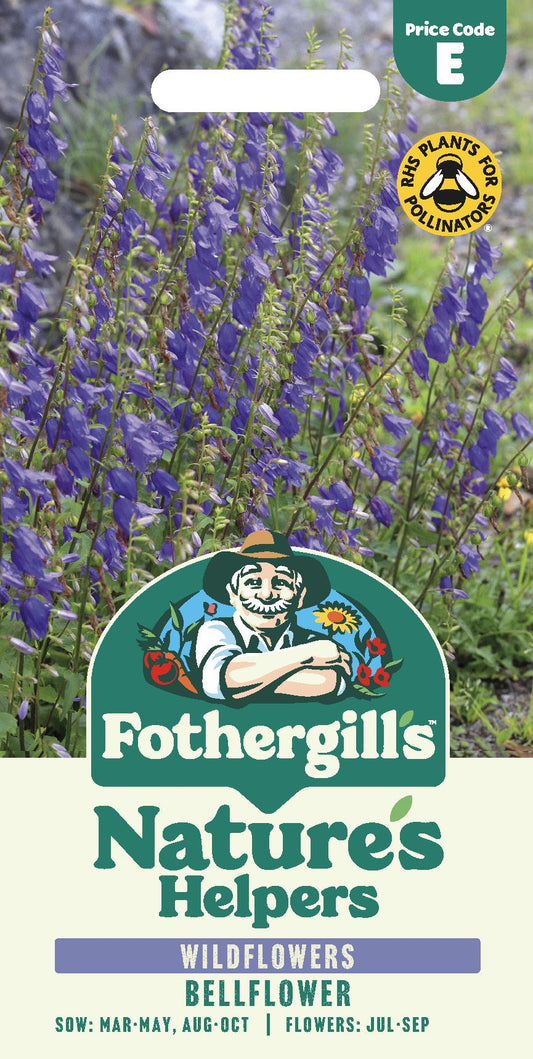 Fothergills Wild flowers Nature Haven Bellflower Seeds