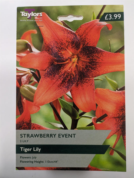 Taylors Flower - Lily - Strawberry Event - Tiger Lilies