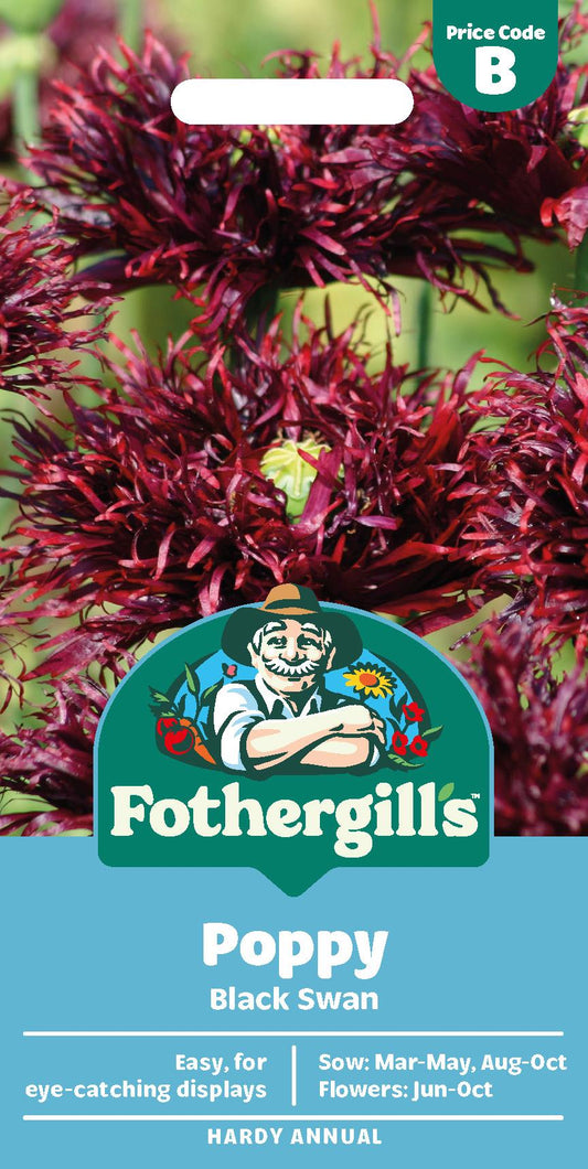 l/Fo-Poppy Black Swan Seeds