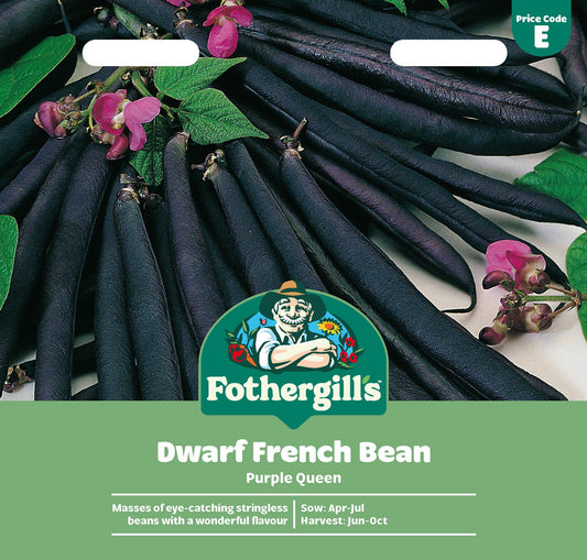 Fothergills Dwarf French Bean Purple Queen Seeds