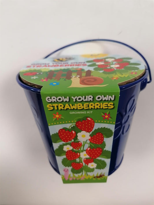 Taylors - Grow Your Own - Strawberries