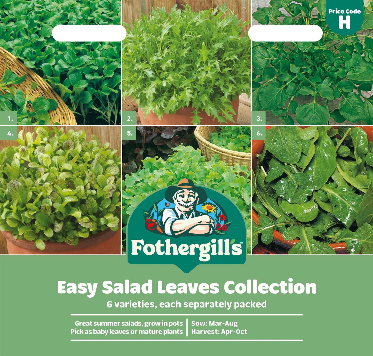 Fothergills Easy Salad Leaves Seeds