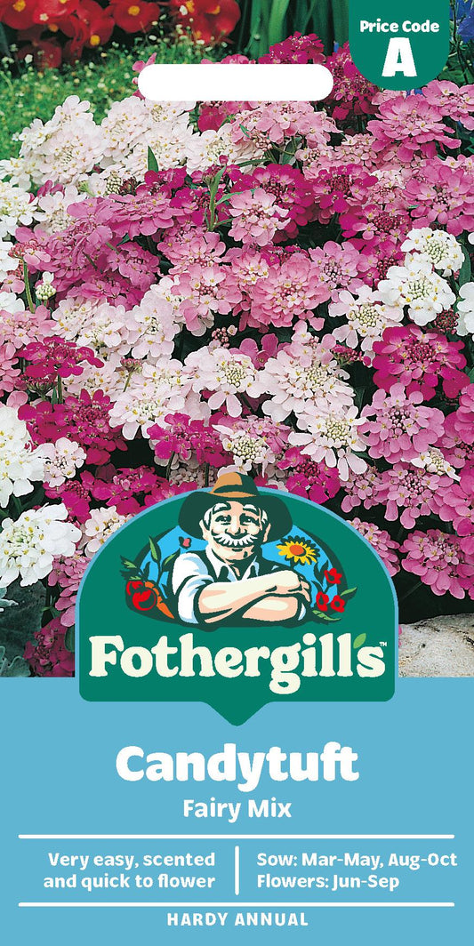 Fothergills Candytuft Fairy Mix Seeds