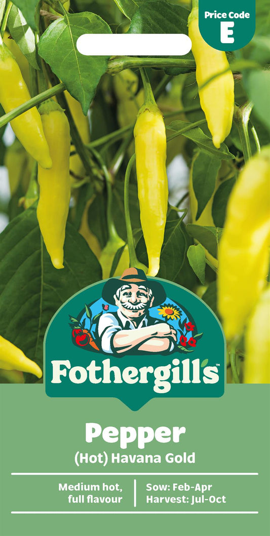 Fothergills Pepper (Hot) Havana Gold Seeds