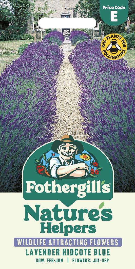 Fothergills Nature Haven - Lavender Hidcote Blue Seeds