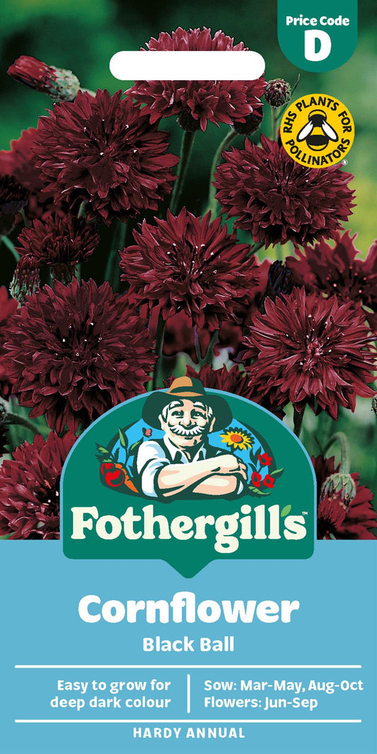 Fothergills Cornflower Black Ball Seeds