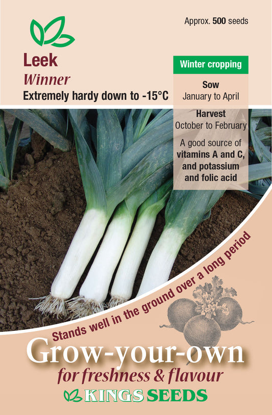 Kings Seeds Leek Winner 500 Seeds