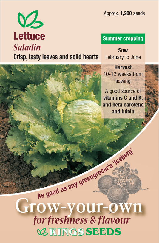 Kings Seeds Lettuce Saladin 1200 Seeds