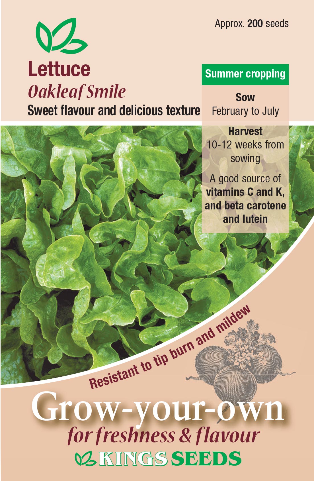 Kings Seeds Lettuce Oakleaf Smile 200 Seeds