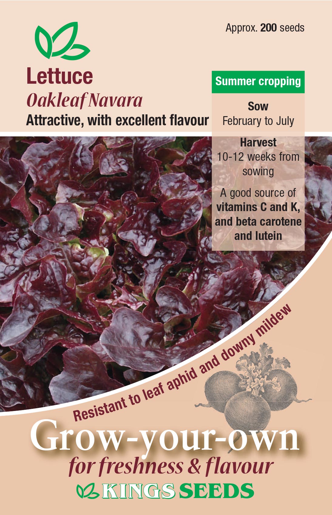 Kings Seeds Lettuce Oakleaf Navara 150 Seeds
