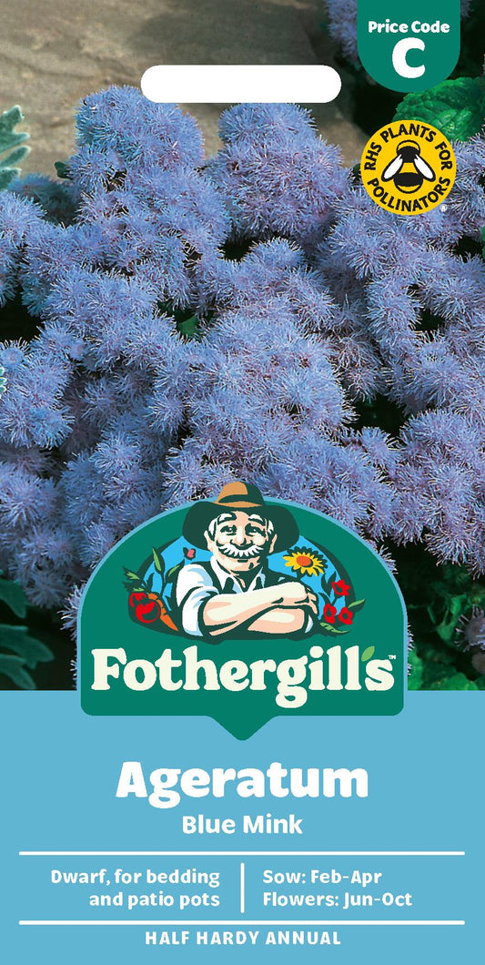 Fothergills Ageratum Blue Mink Seeds