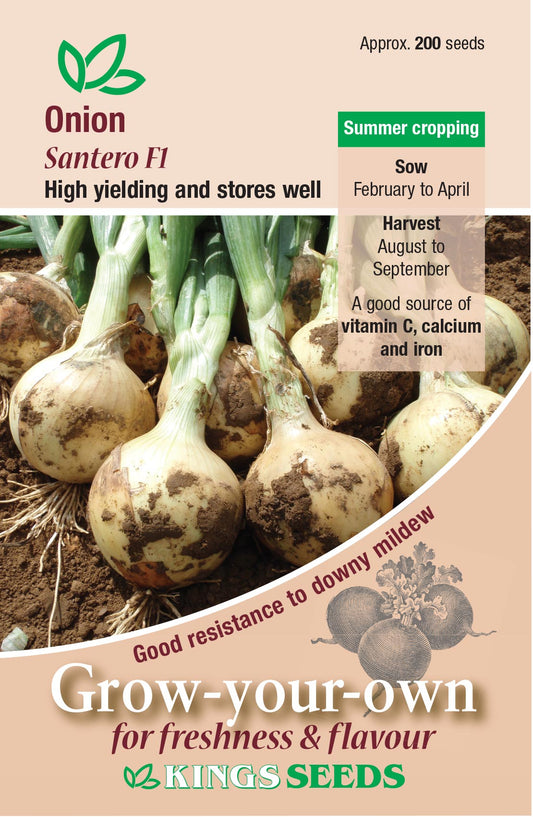 Kings Seeds Onion Santero F1 Hybrid 200 Seeds