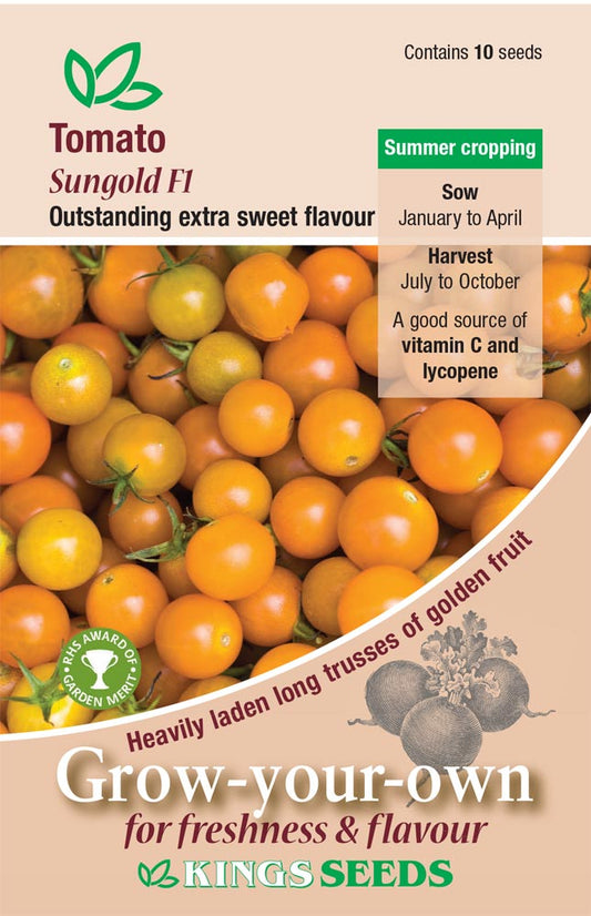 Kings Seeds Tomato Sungold F1 Hybrids 10 Seeds
