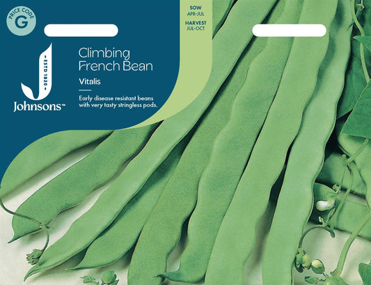 Johnsons - Climbing French Bean Vitalis - 50 Seeds