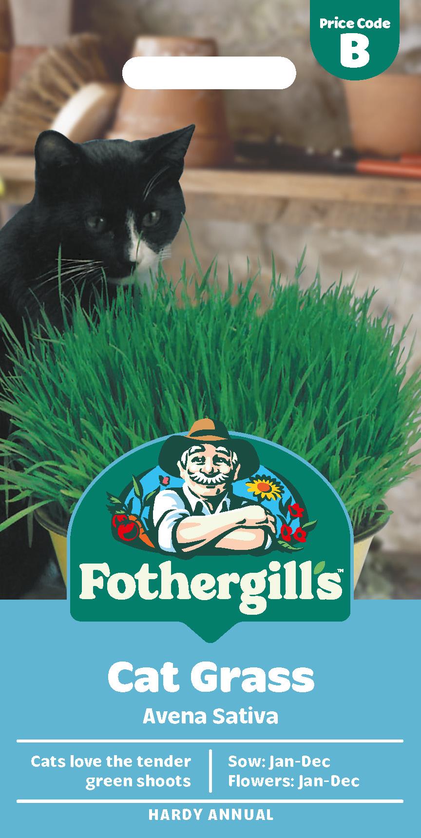 Fothergills Cat Grass Avena Sativa Seeds