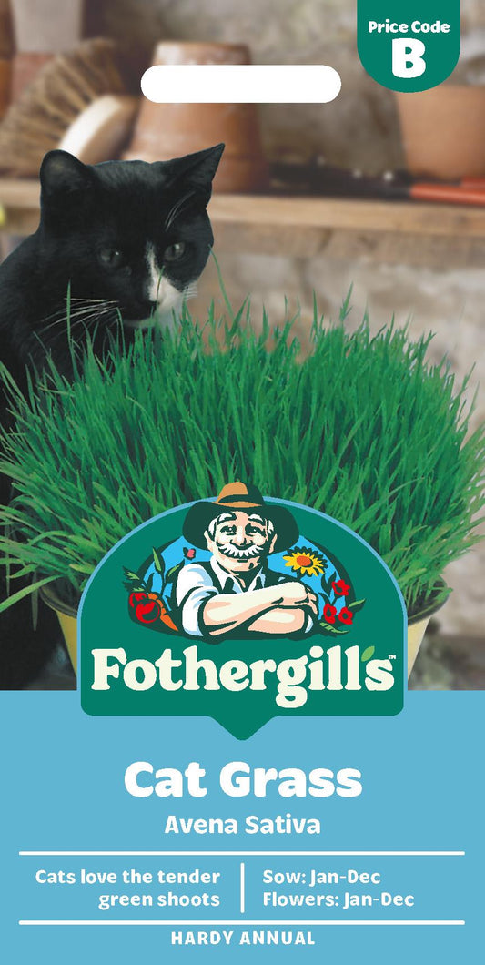 Fothergills Cat Grass Avena Sativa Seeds
