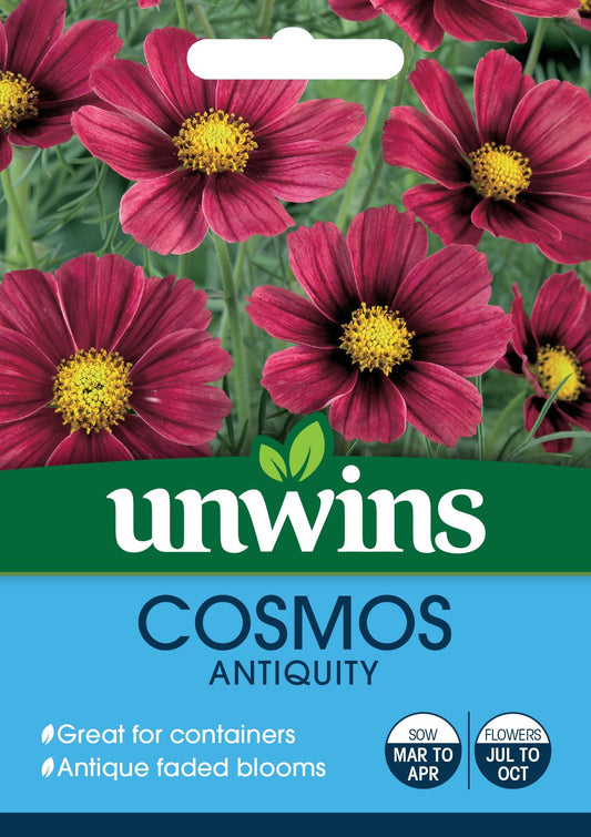 Unwins Cosmos Antiquity 30 Seeds