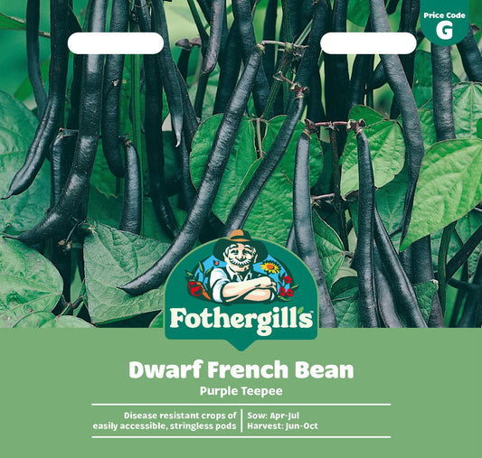 Fothergills Dwarf French Bean Purple Teepee Seeds
