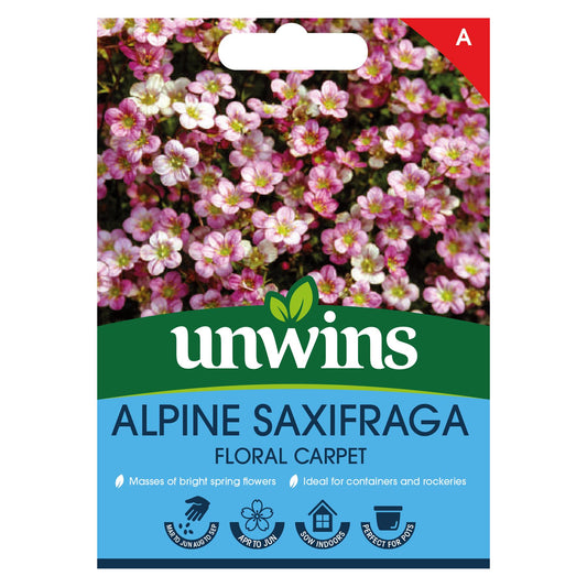 Unwins Flower Saxifraga x arendsii Floral Carpet - 50 Seeds