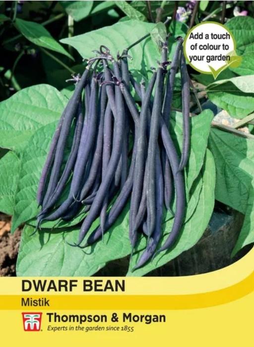 Thompson & Morgan  Vegetable Dwarf Bean Mistik - 40 Seeds