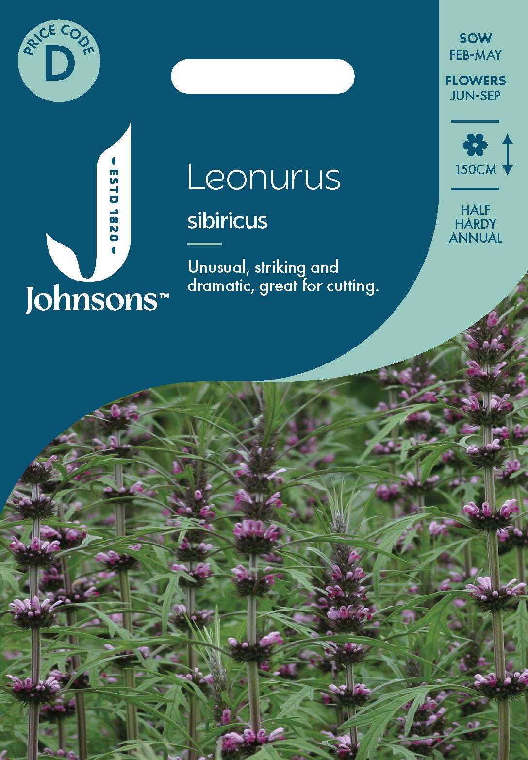 Johnsons - Leonurus Sibiricus - 150 Seeds