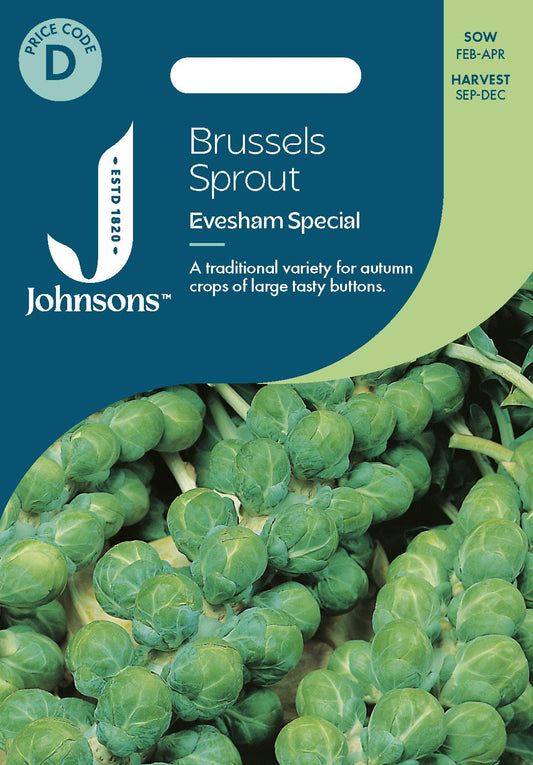 Johnsons - Brussels Sprout Evesham Special - 200 Seeds