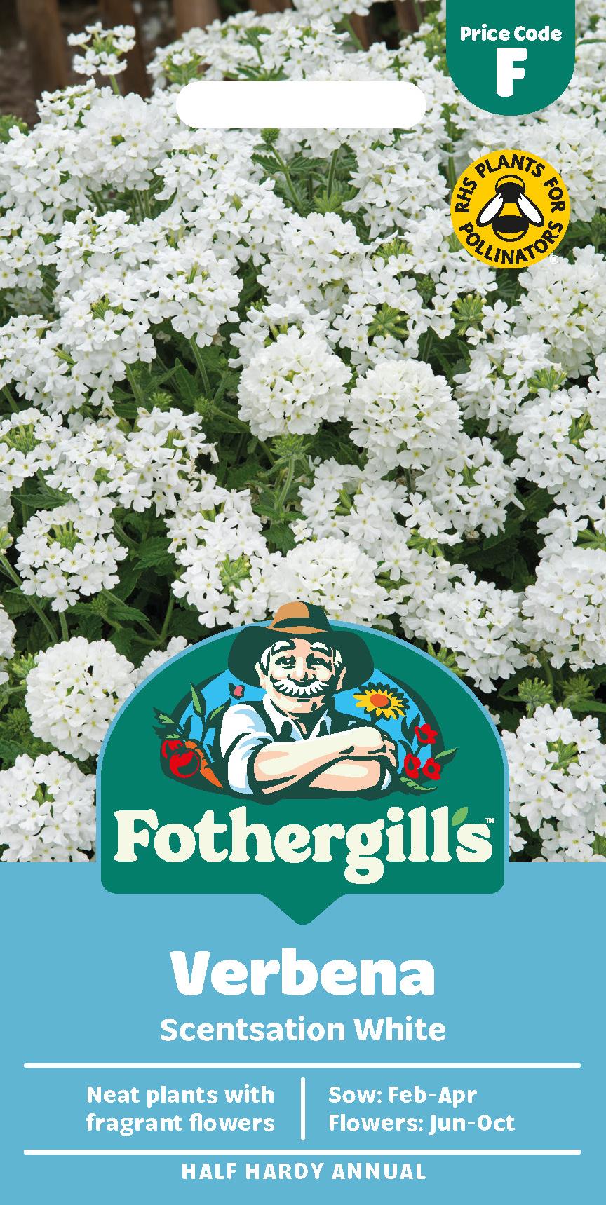 Fothergills Verbena Scentsation White Seeds