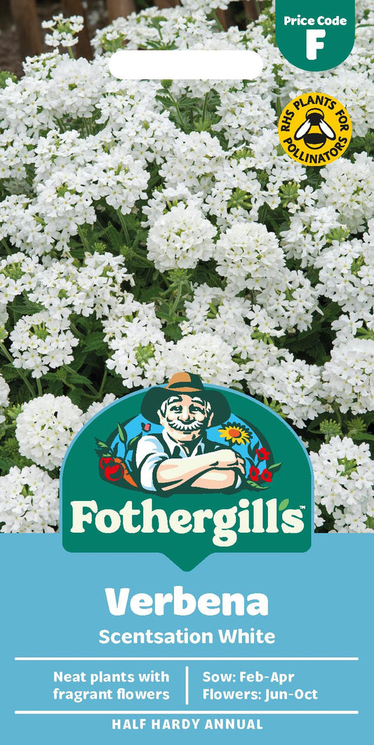 Fothergills Verbena Scentsation White Seeds