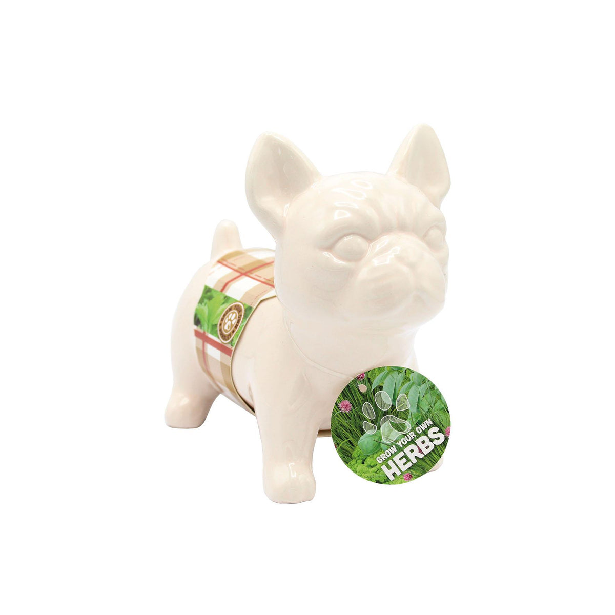 French Bulldog Cream Herb Planter Grow Kit – Bees Seeds