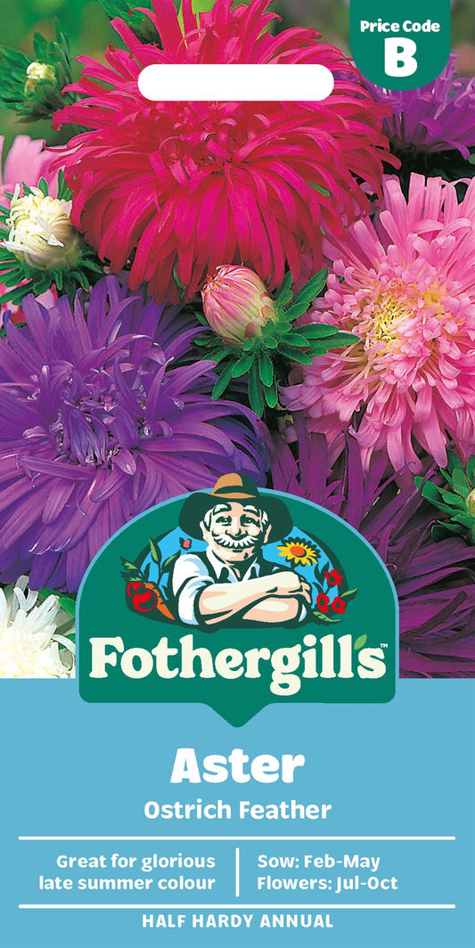 Fothergills Aster Ostrich Feather Seeds