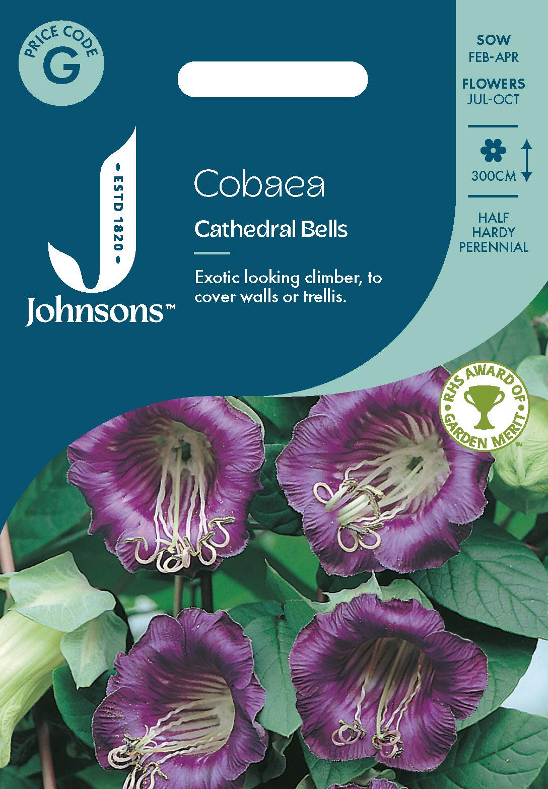Johnsons - Cobaea Cathedral Bells - 20 Seeds
