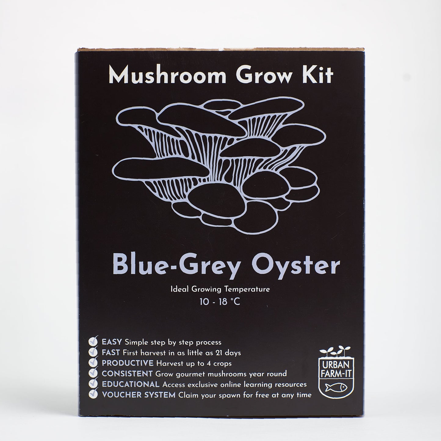Mushroom  Blue Grey Oyster Growing Kit