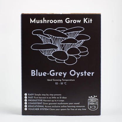 Mushroom  Blue Grey Oyster Growing Kit