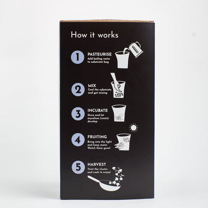 Mushroom Growing Kit Blue Grey Oyster Gift Option