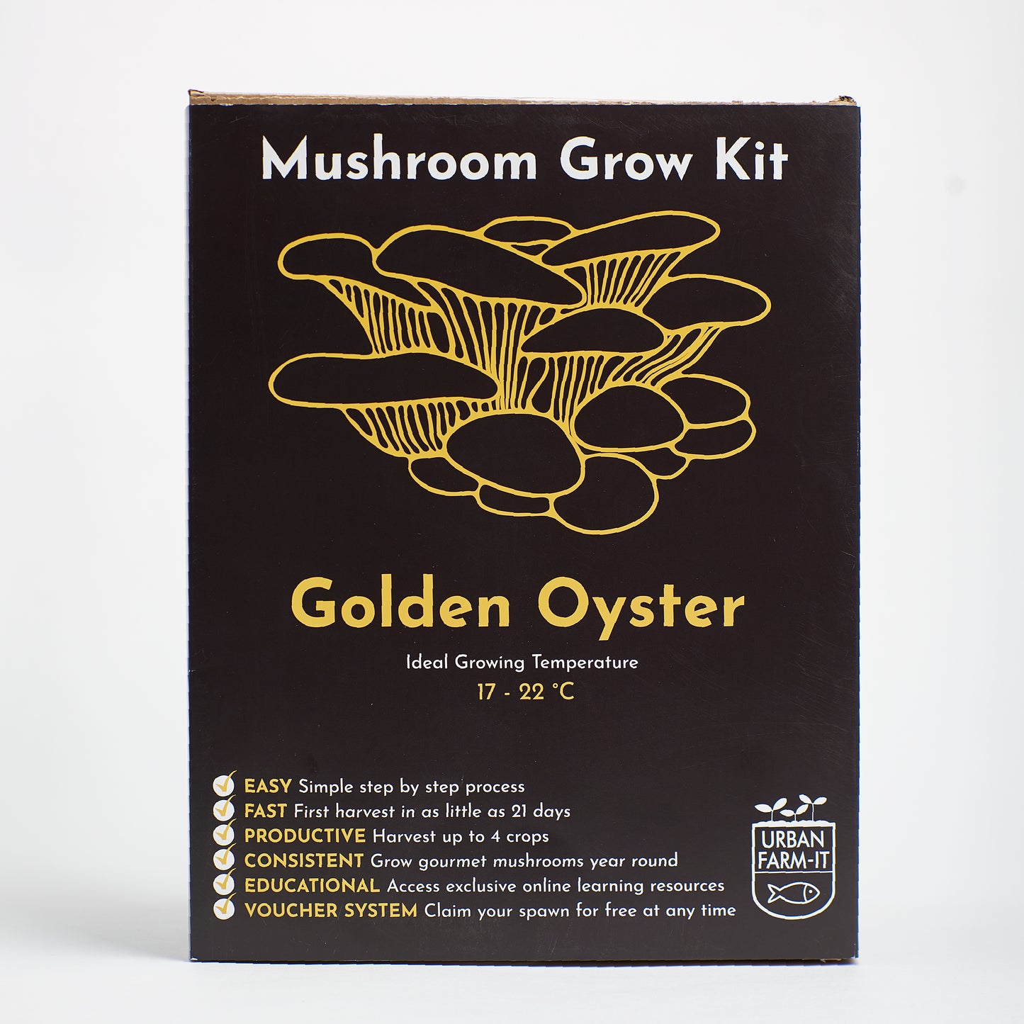 Mushroom Growing Kit - Golden Oyster - Gift Option