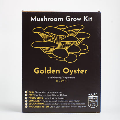 Mushroom Growing Kit Golden Oyster Gift Option