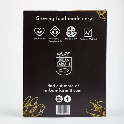 Mushroom Growing Kit Golden Oyster Gift Option
