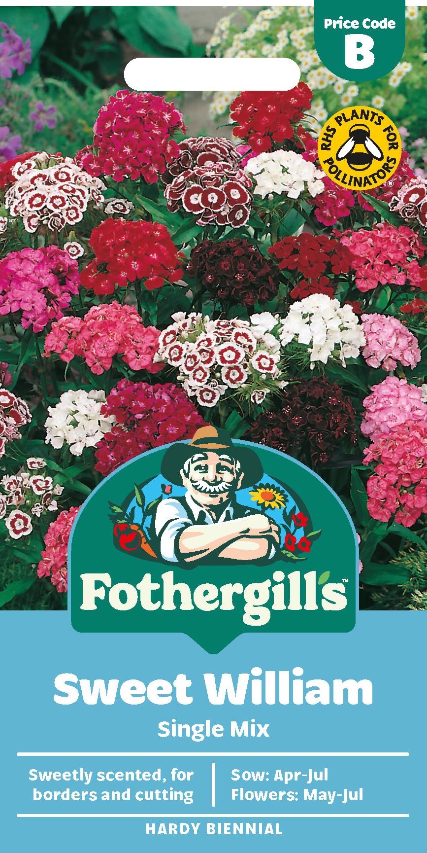 Fothergills Sweet William Single Mix Seeds