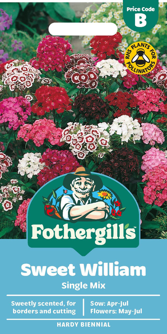 Fothergills Sweet William Single Mix Seeds