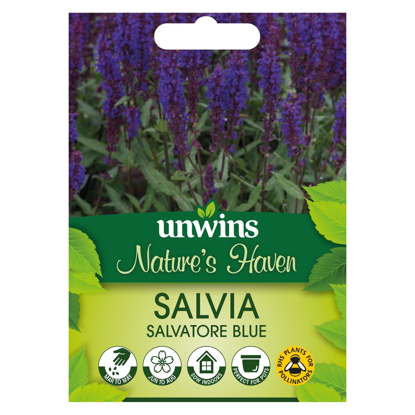 Unwins Flower Salvia Salvatore Blue - 15 Seeds