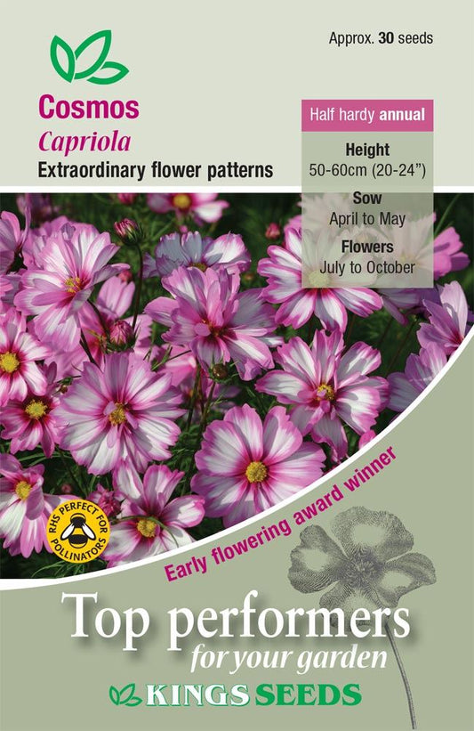 Kings Seeds  Cosmos Capriola Seeds