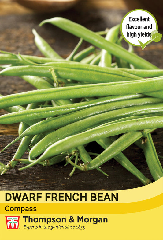 Thompson & Morgan  Vegetable Dwarf French Bean Compass (Green) - 40 Seeds