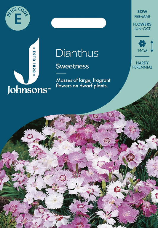 Johnsons - Dianthus Sweetness - 75 Seeds