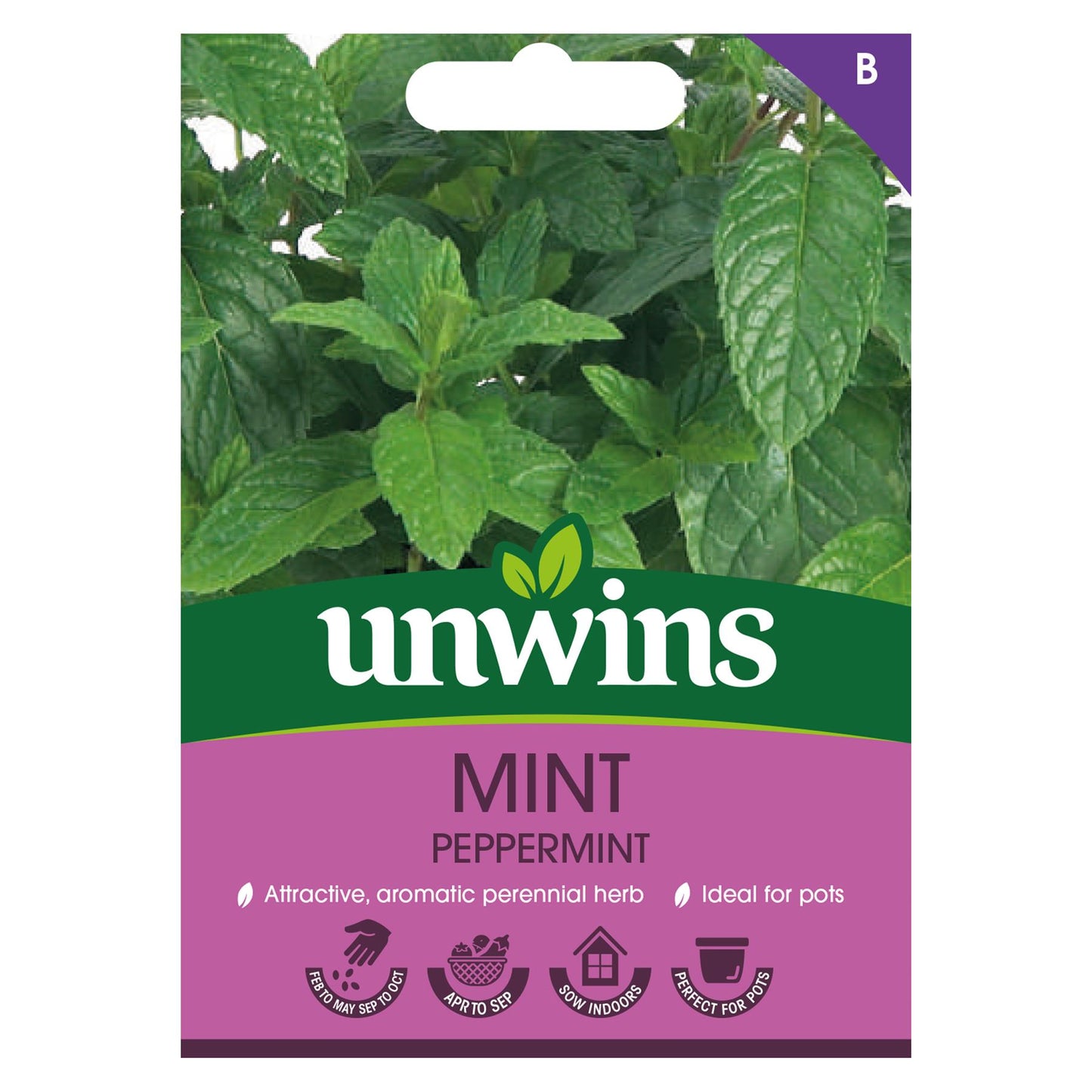 Unwins Herb Mint Mint Peppermint - 750 Seeds