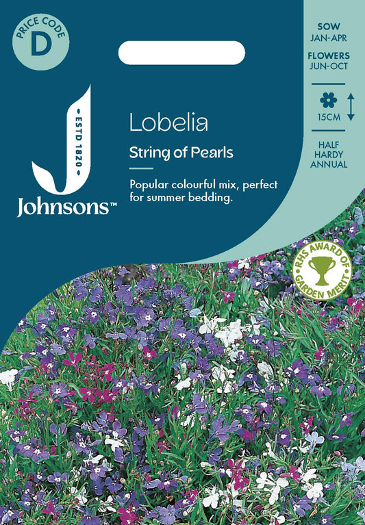 Johnsons - Lobelia String of Pearls - 2500 Seeds