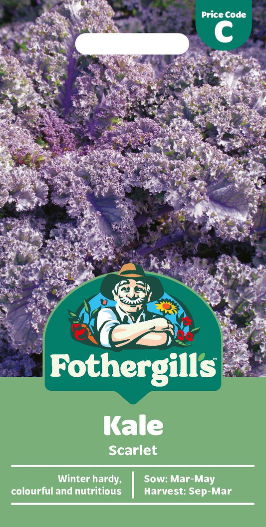 Fothergills Kale Scarlet Seeds