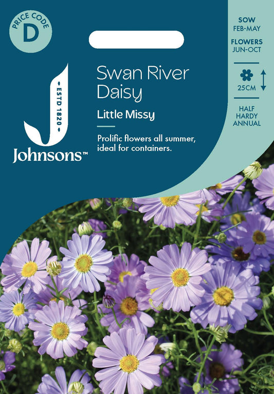 Johnsons - Swan River Daisy Little Missy - 250 Seeds